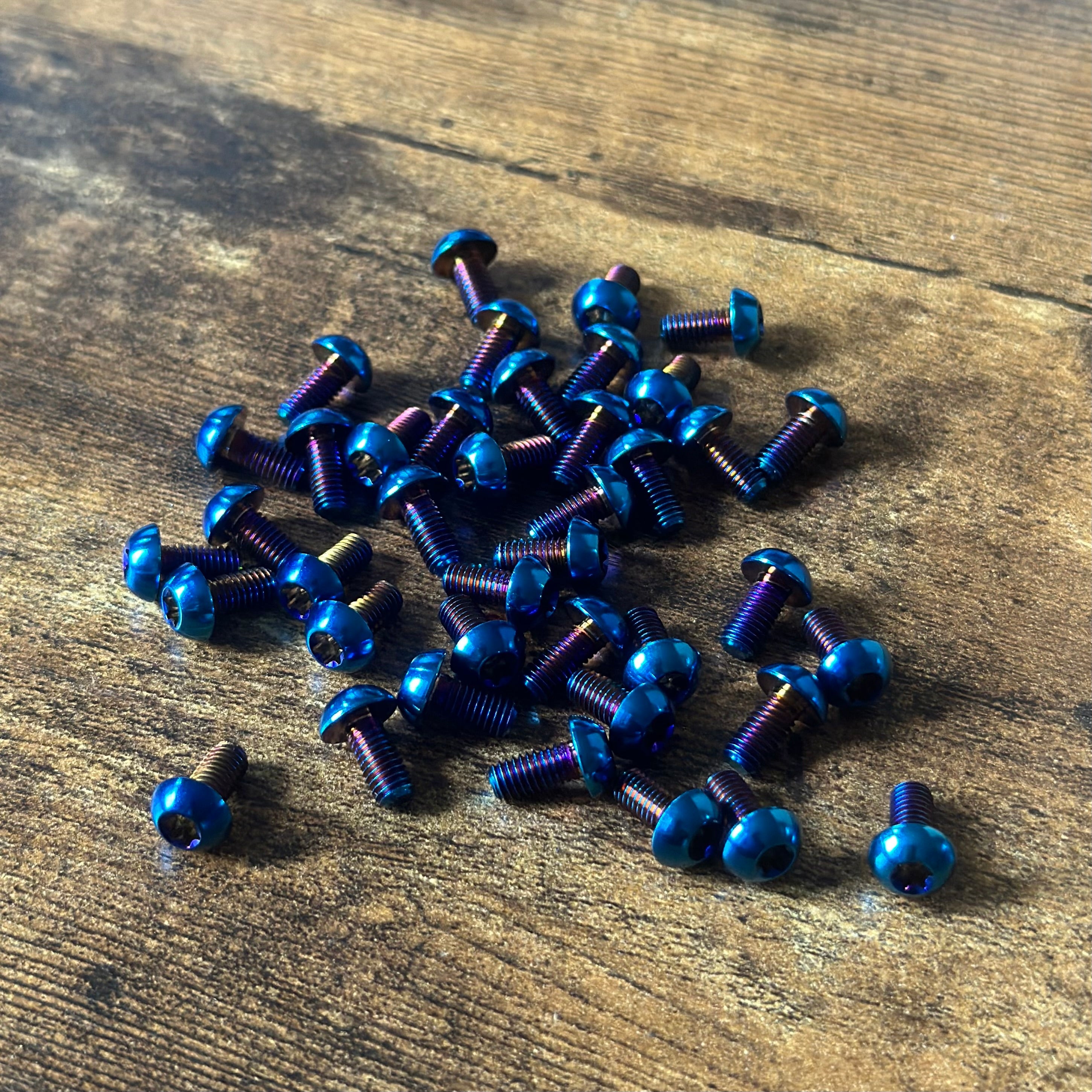 E-moto  Front Brake Rotor Titanium Bolts