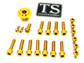 Titanium Surron Ultra Bee OEM Fork Bolt Kit